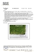 Wuxi Sunli Artificial Grass Carpet Co., Ltd,